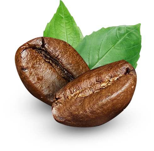 Roasted coffee beans with coffee leaves isolated